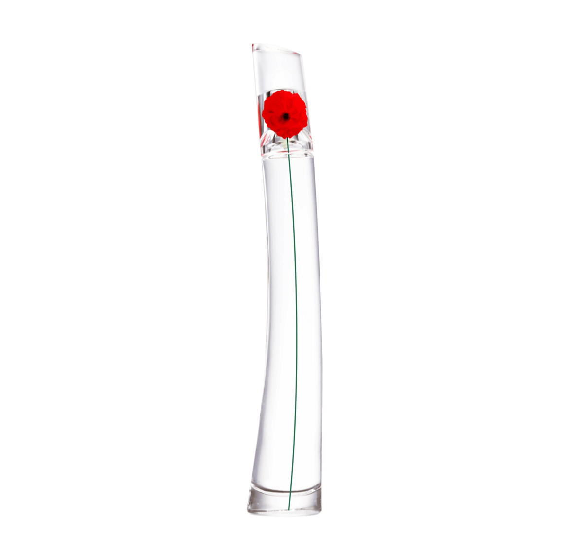 100ml (2)
